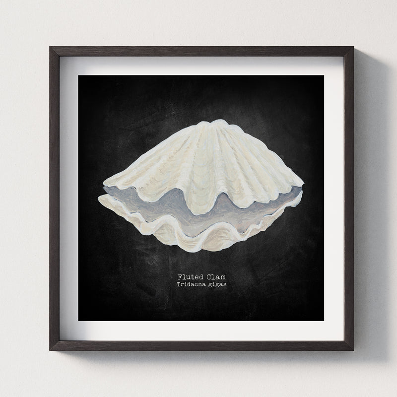 Hand-painted Clam Shell Art Print | Black Background - Framed