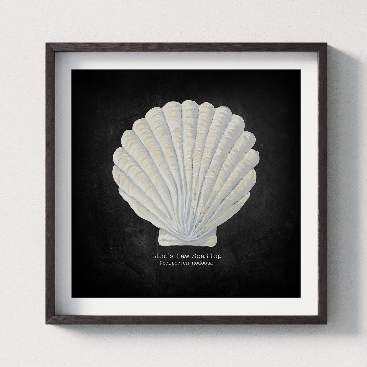 Hand-painted Scallop Shell Art Print | Black Background - Framed