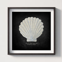 Hand-painted Scallop Shell Art Print | Black Background - Framed