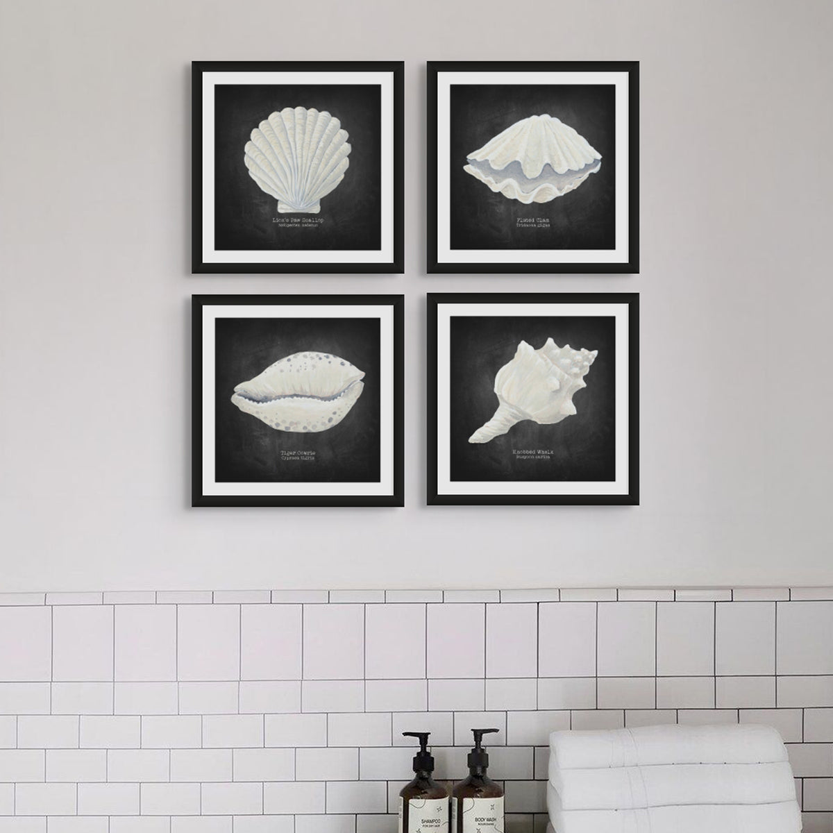 Hand-painted Clam Shell Art Print | Black Background - Framed