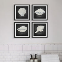 Hand-painted Clam Shell Art Print | Black Background - Framed