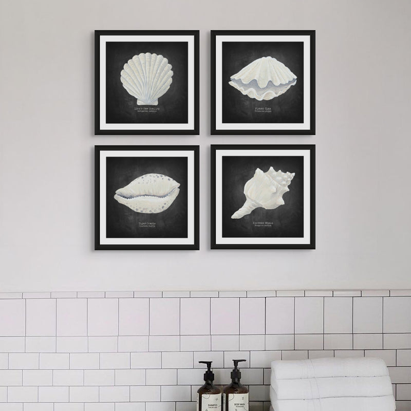 Hand-painted Clam Shell Art Print | Black Background - Framed