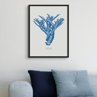 Coral Print | Marine Blue Coral No 4 - Framed