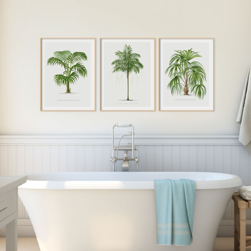 set of three vintage palm tree art prints above bath. the three botanical wall art prints are framed in natural frames above wall panlelling and a roll top bath.
