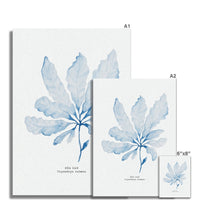 Blue Watercolour Seaweed Art Print | Sea Oak Seaweed Painting  - Unframed