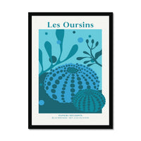 Framed artwork of sea urchins and underwater plants with 'Les Oursins' text.