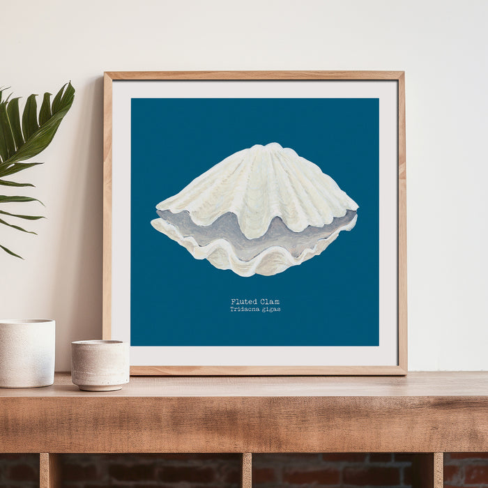 Hand-painted Clam Shell Art Print | Marine Blue Background - Unframed