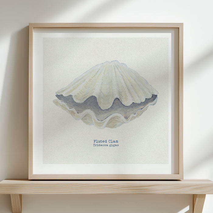 Hand-painted Clam Shell Art Print | Natural Background - Unframed