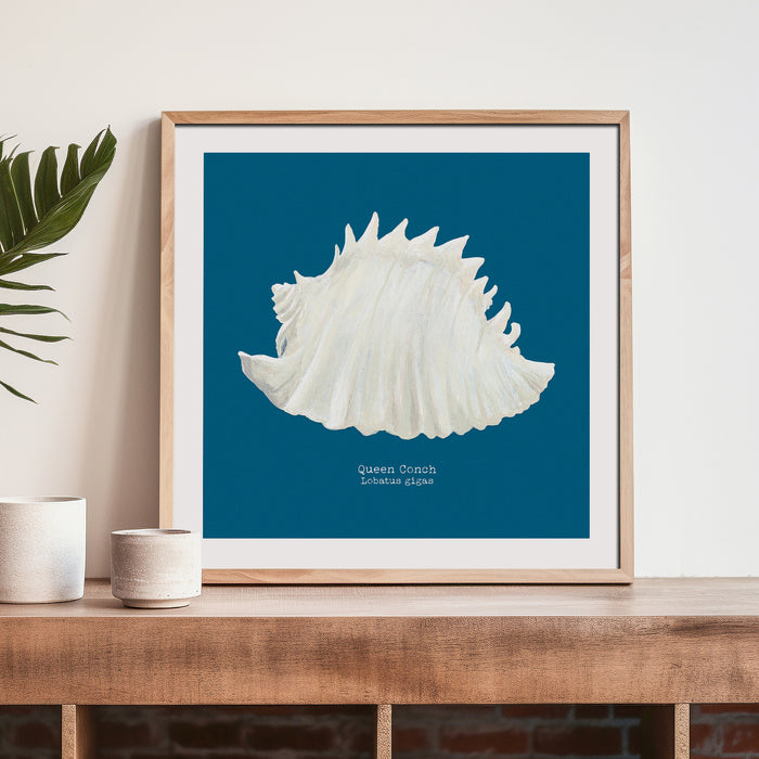 Hand-painted Conch Shell Art Print | Marine Blue Background - Unframed