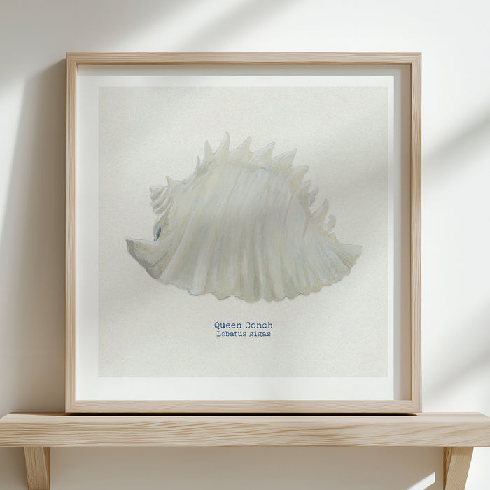 Hand-painted Conch Shell Art Print | Natural Background - Unframed