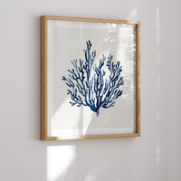 Set of Three Indigo Coral and Shell Art Prints  - Unframed