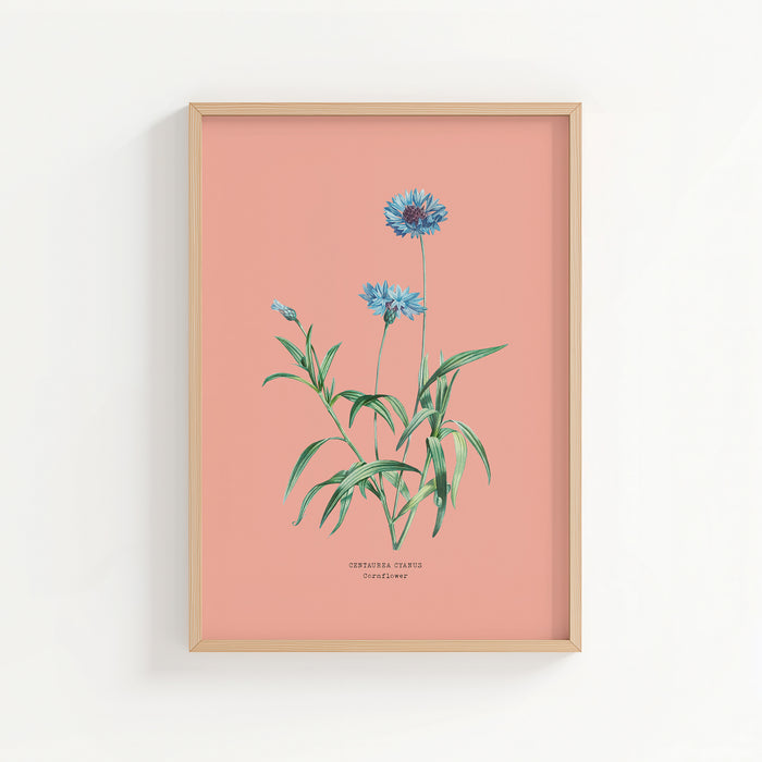 Flower Plant Wall Art Decor 16x11 Set of 3 Black And White Botanical Painting Wood Framed For Minimalist Bedroom Office Rustic Living Room Abstract Wildflower Sign Hanging (Wood White Flower Plant Wall Art Decor 16x11 Set of 3 Black And White Botanical Painting Wood Framed For Minimalist Bedroom Office Rustic Living Room Abstract Wildflower Sign Hanging (Wood White