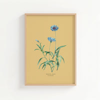 Framed botanical print of blue flowers on a yellow background