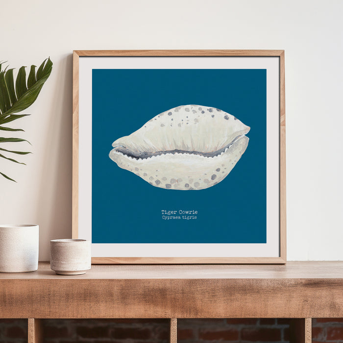 Hand-painted Cowrie Shell Art Print | Marine Blue Background - Unframed