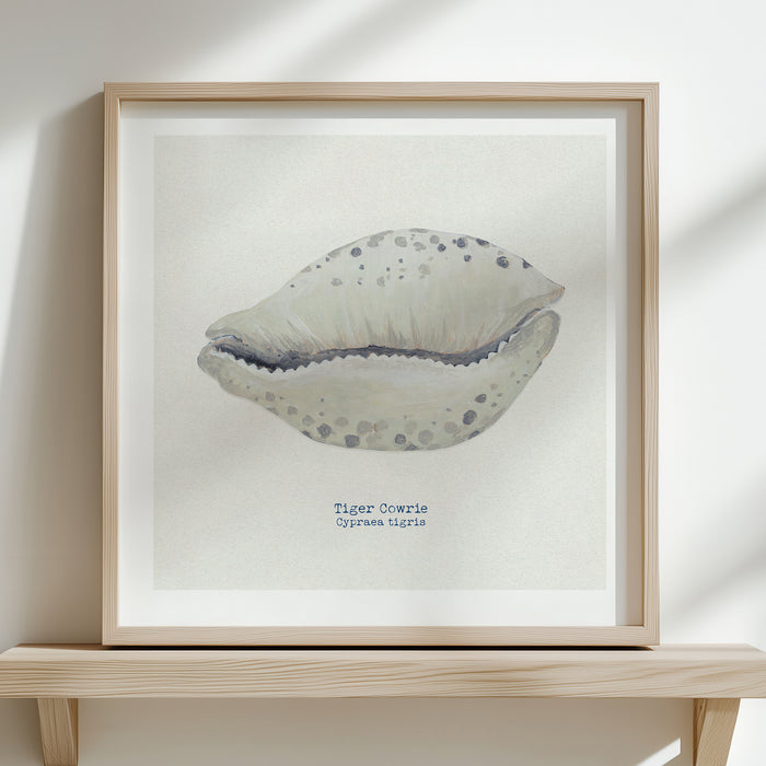 Hand-painted Cowrie Shell Art Print | Natural Background - Unframed