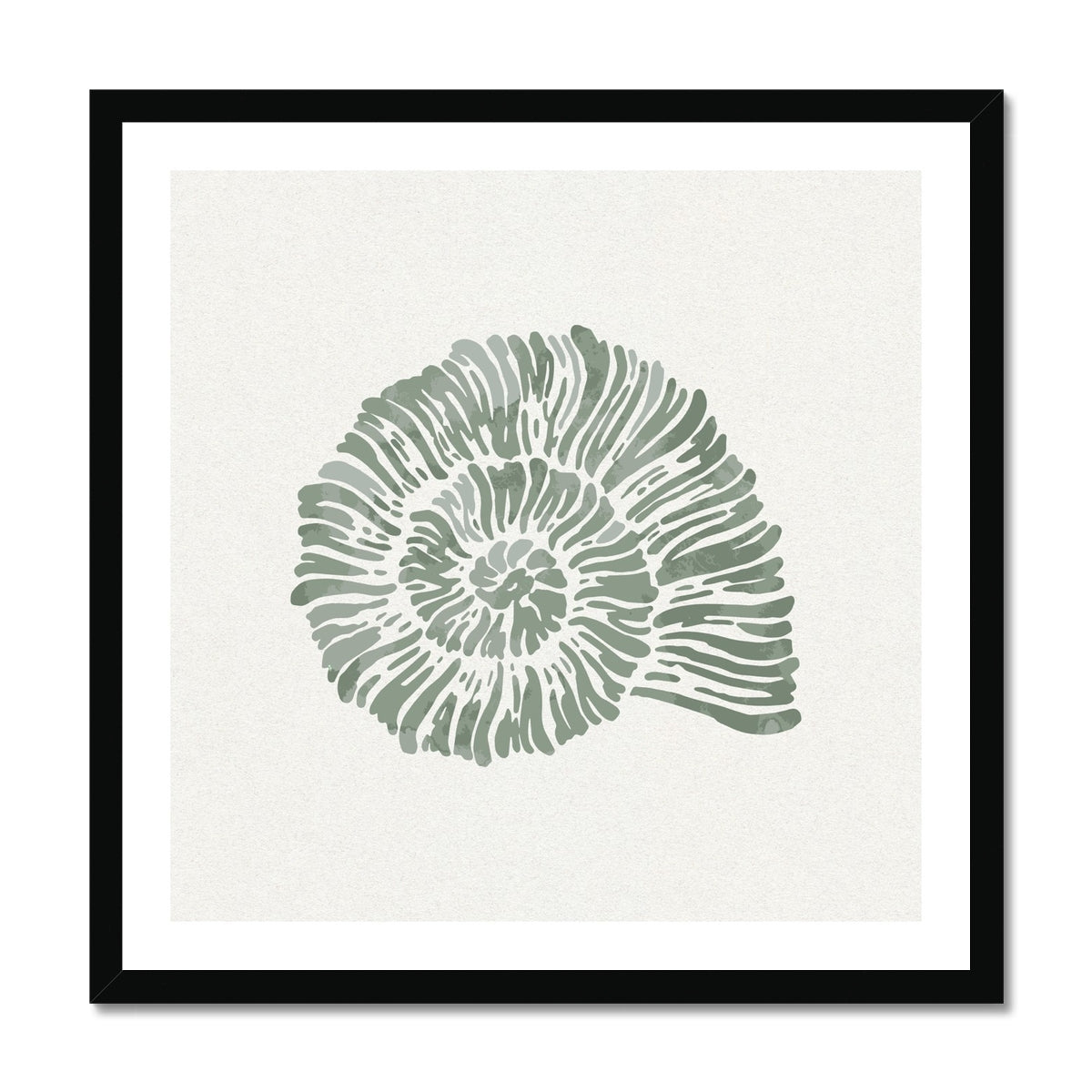 Sage Green Spiral Shell Art Print | Shell & Coral Art - Unframed