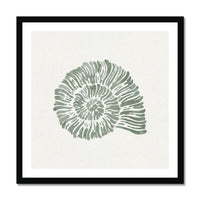 Sage Green Spiral Shell Art Print | Shell & Coral Art - Unframed