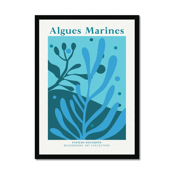 Framed seaweed art print with marine algae design and text 'Algues Marines' on a white background