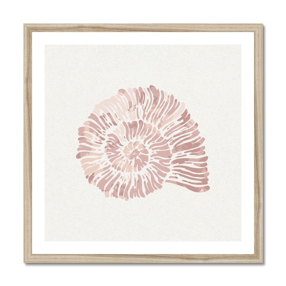 Pink Spiral Shell Art Print | Shell Wall Art - Framed