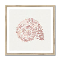 Set of Three Pink Coral and Shell Art Prints  - Unframed