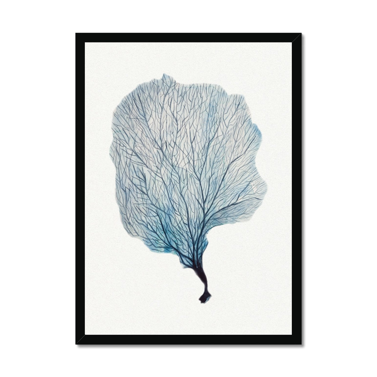 Sea Fan Watercolour Coral Painting | Coral Art | No 2 - Framed