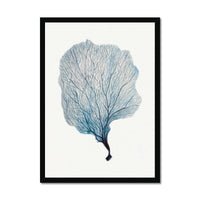 Sea Fan Watercolour Coral Painting | Coral Art | No 2 - Framed