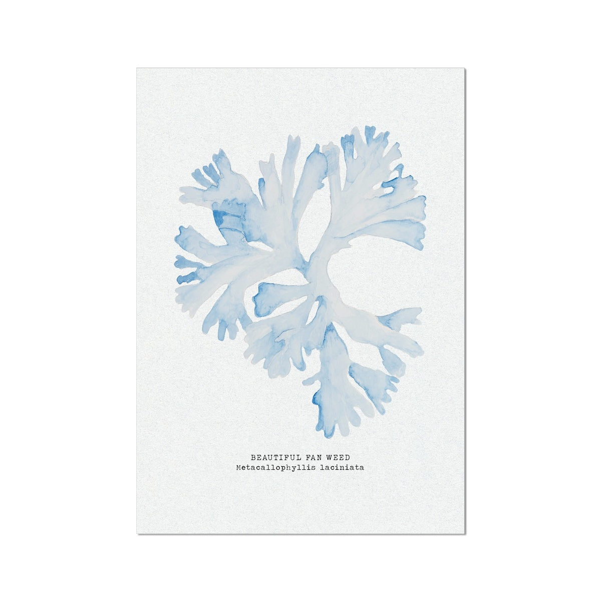 Blue Watercolour Seaweed Art Print | Beautiful Fan Weed Seaweed Painting  - Unframed