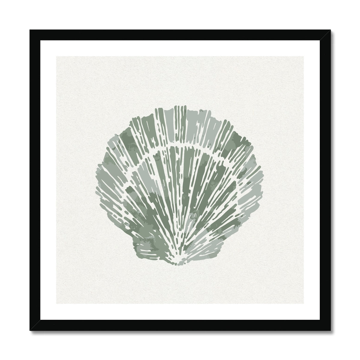 Sage Green Scallop Shell Art Print | Shell & Coral Art - Unframed