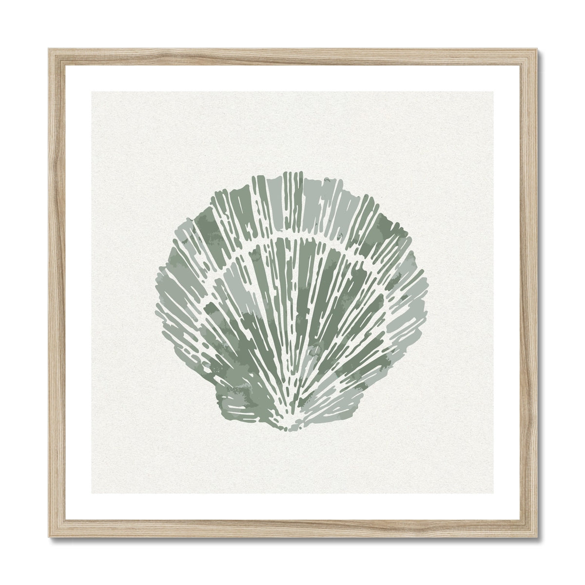 Sage Green Scallop Shell Art Print | Shell & Coral Art - Unframed