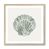 Sage Green Scallop Shell Art Print | Shell & Coral Art - Unframed
