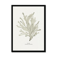 Framed artwork of a stylized seaweed painting on a white background