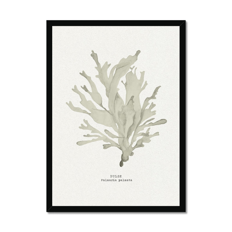 Framed artwork of a stylized seaweed painting on a white background