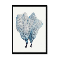 Sea Fan Watercolour Coral Painting | Coral Art | No 1 - Framed