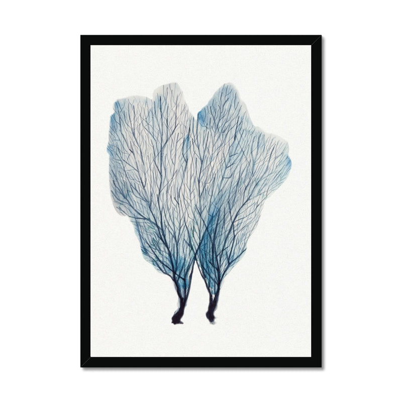 Sea Fan Watercolour Coral Painting | Coral Art | No 1 - Framed