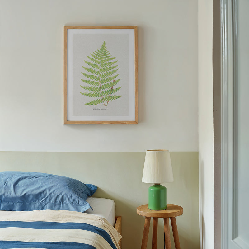 vintage fern print framed on wall above bed - vintage botanical fern art print