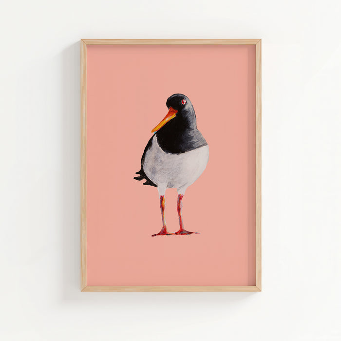 Oyster Catcher Bird Painting | Bird Art Print | Coral Pink - Unframed