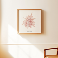 Framed botanical print of a seaweed on a beige wall with a wooden chair.