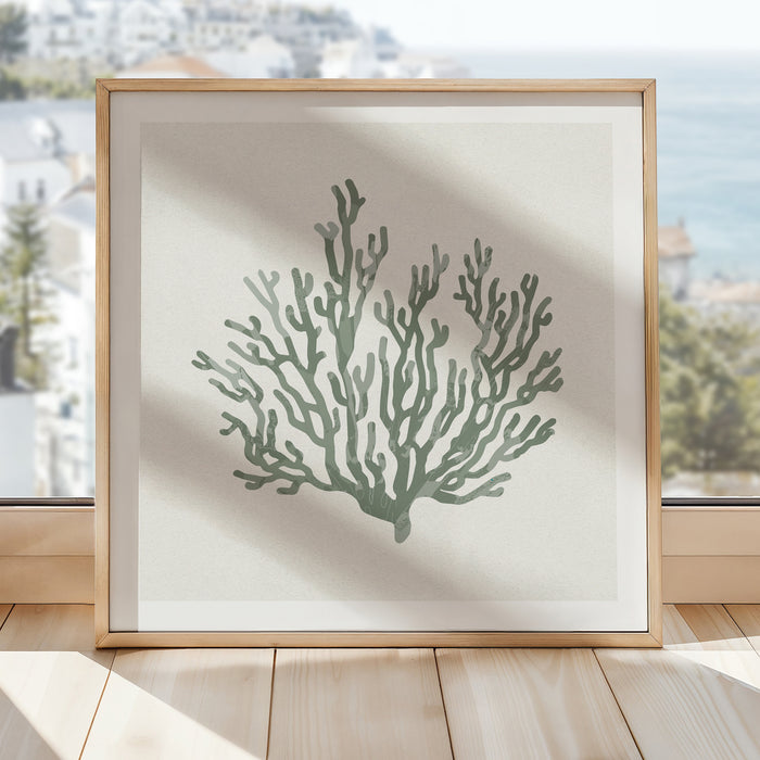 Sage Green Coral Art Print | Shell & Coral Art - Unframed