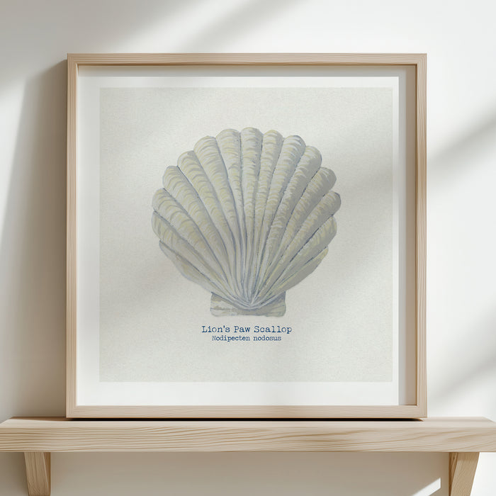 Hand-painted Scallop Shell Art Print | Natural Background - Unframed