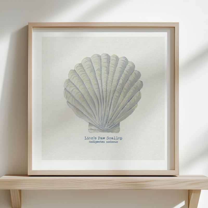 Hand-painted Scallop Shell Art Print | Natural Background - Unframed