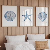 Set of Three Shell Paintings | Set of Shell Prints - Unframed