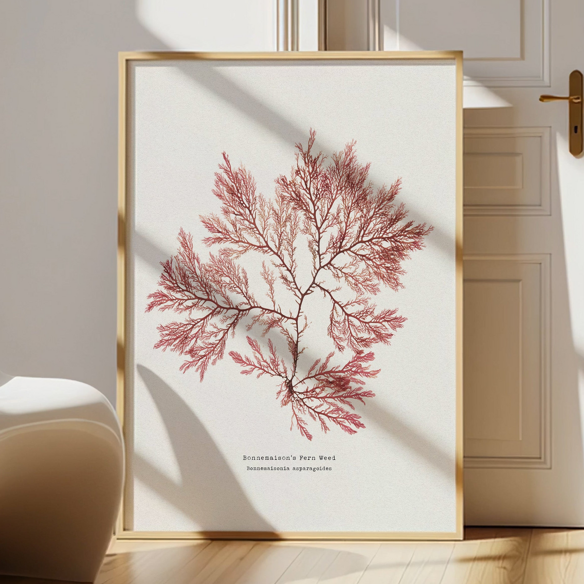 Framed pressed seaweed print - fern weed seaweed art print in natural wood. Botanical wall art.