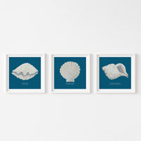 Hand-painted Scallop Shell Art Print | Marine Blue Background - Unframed