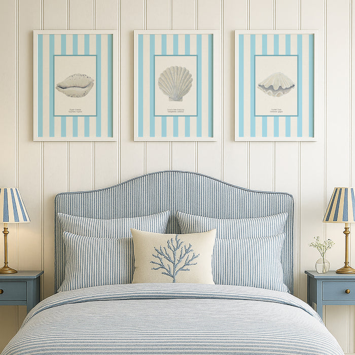Set of Three Shell prints on aqua stripe - Unframed