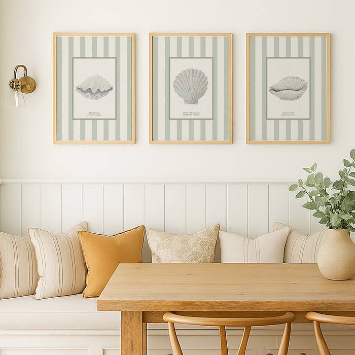 Set of three Shell prints on green stripe - Unframed