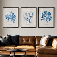 Set of 3 seaweed prints above sofa in living room. Modern living room with a brown leather sofa, coffee table, and wall art of blue seaweed art.
