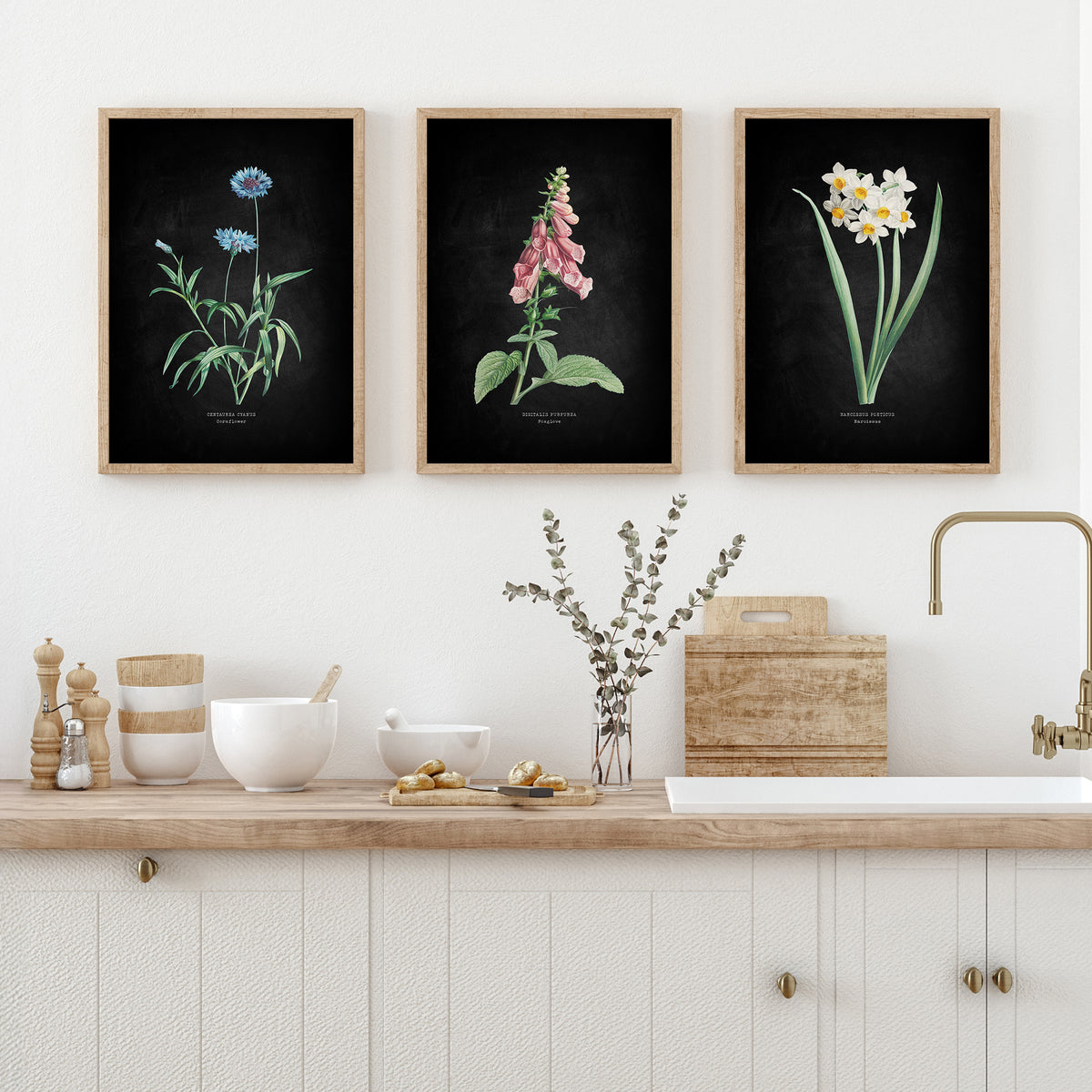 Narcissus | Botanical Art Vintage Flower Print | Black - Unframed
