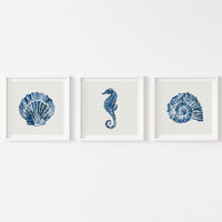 Set of Three Indigo Shell and Seahorse Art Prints - Framed