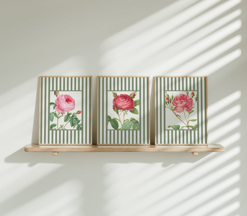 Three framed floral prints with pink roses on a wooden shelf against a white wall.