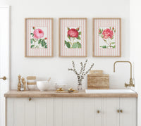 Vintage Rose 3 | Vintage Flower Art Print | Pink Stripe - Unframed